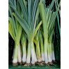 Poireaux