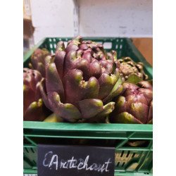 Artichaut