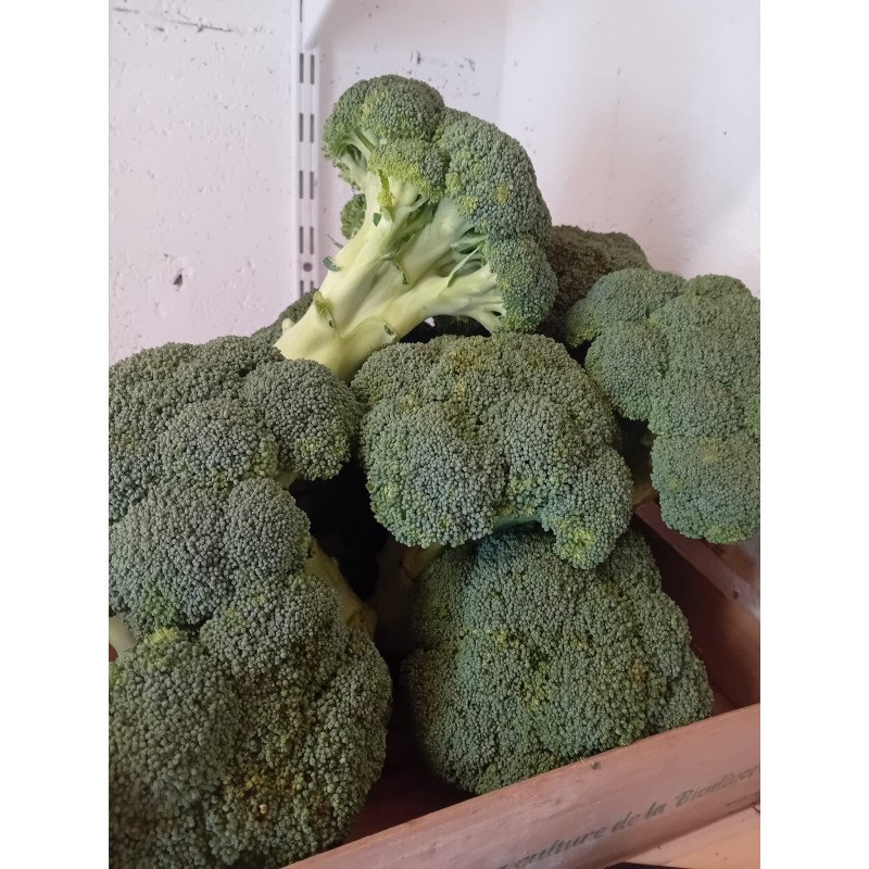 Brocoli