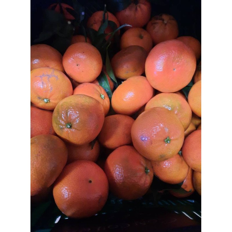 Mandarine